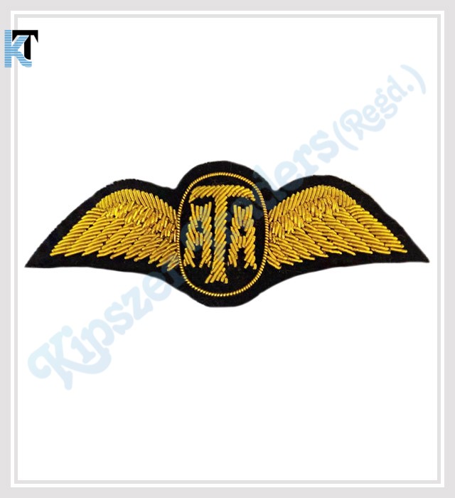Air-Transport-Auxiliary-Wing.jpg